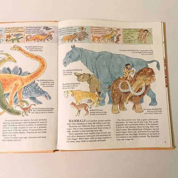 Vintage 1981 Classic Golden Book Joe Kaufmans Wings Paws Hoofs and Flippers - Picture 14 of 16